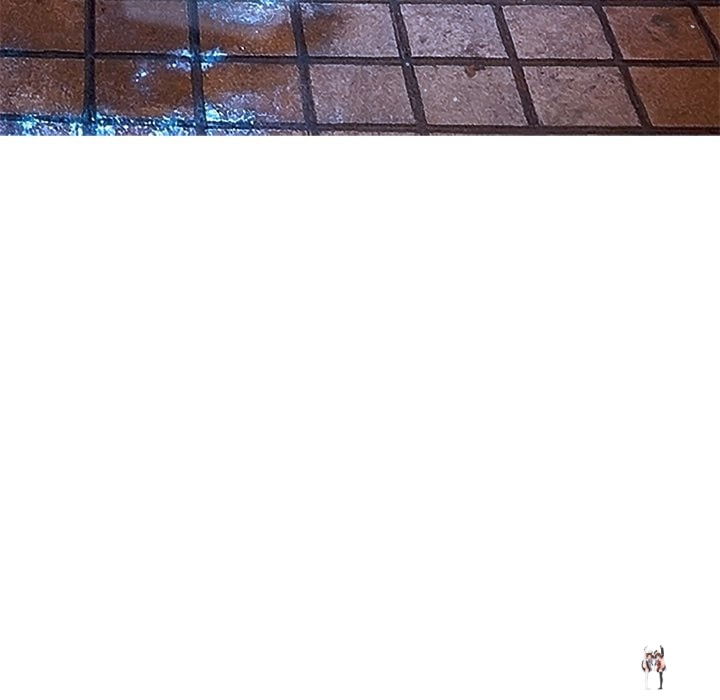 My High School Bully My High School Bully Chapter 276 - صفحة 20