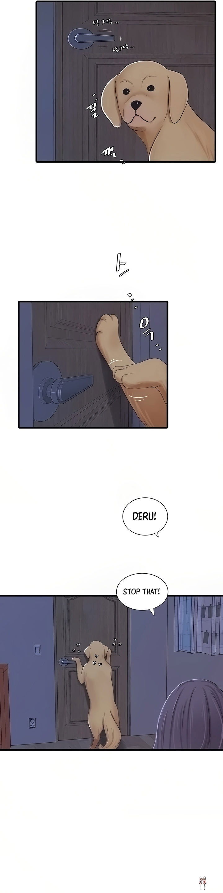 One&rsquo;s In-Laws Virgins One&rsquo;s In-Laws Virgins Chapter 62 - Page 12