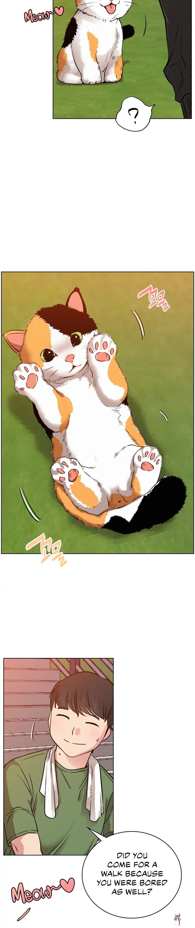 Staying with Ajumma Staying with Ajumma Chapter 33 - Page 17