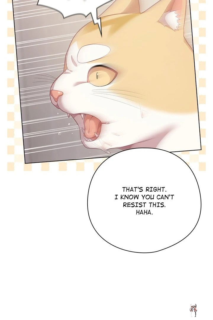 The General Is Here! The General Is Here! Chapter 33 - Page 66