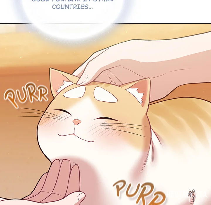 The Love Meowtchmaker The Love Meowtchmaker Chapter 53 - ページ 175