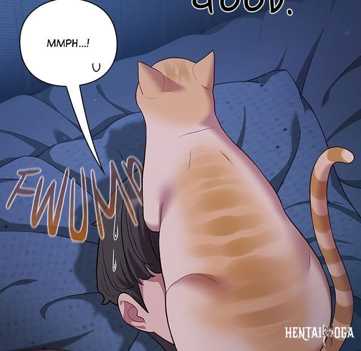 The Love Meowtchmaker The Love Meowtchmaker Chapter 49 - ページ 88