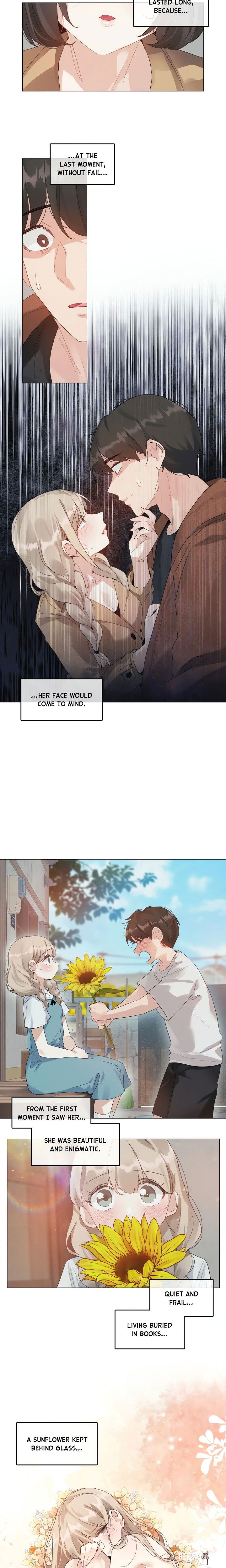 The Season When Sunflowers Whisper The Season When Sunflowers Whisper Chapter 4 - Page 9