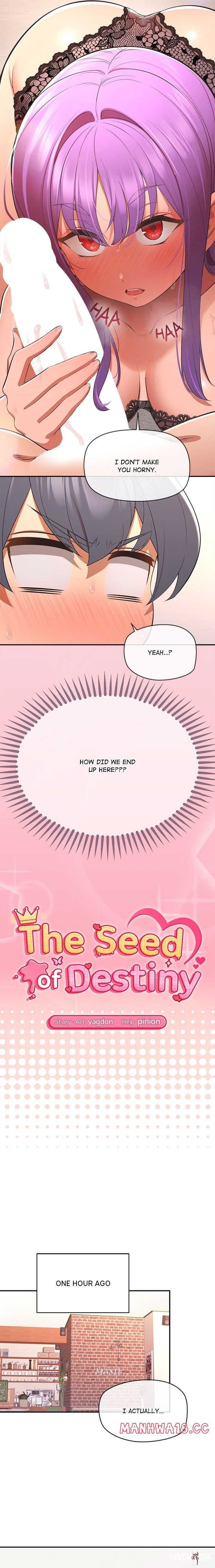 The Seed of Destiny The Seed of Destiny Chapter 14 - Page 2