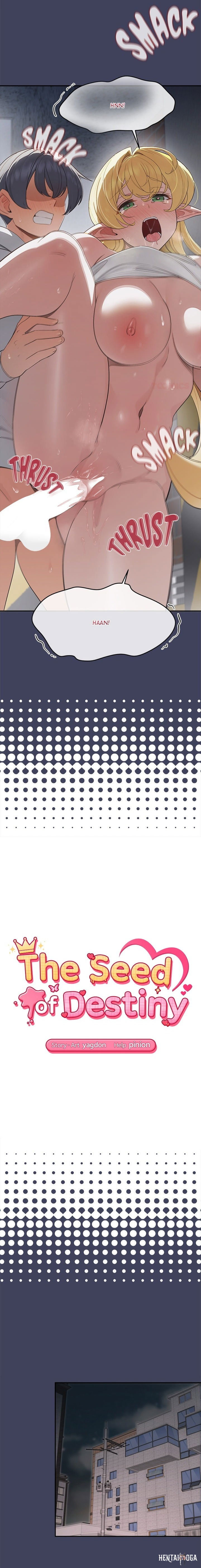 The Seed of Destiny The Seed of Destiny Chapter 19 - صفحة 2