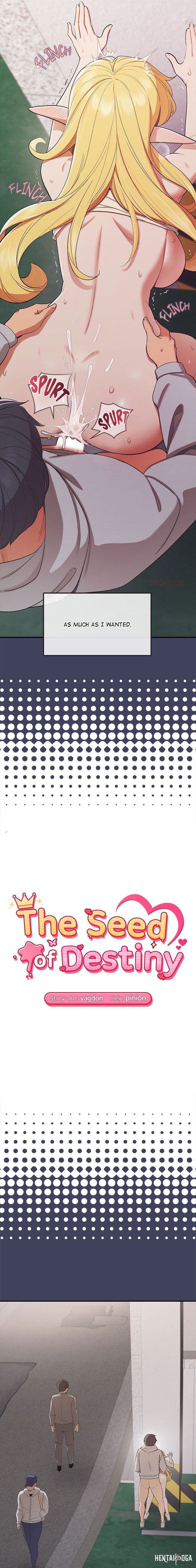 The Seed of Destiny The Seed of Destiny Chapter 20 - صفحة 2