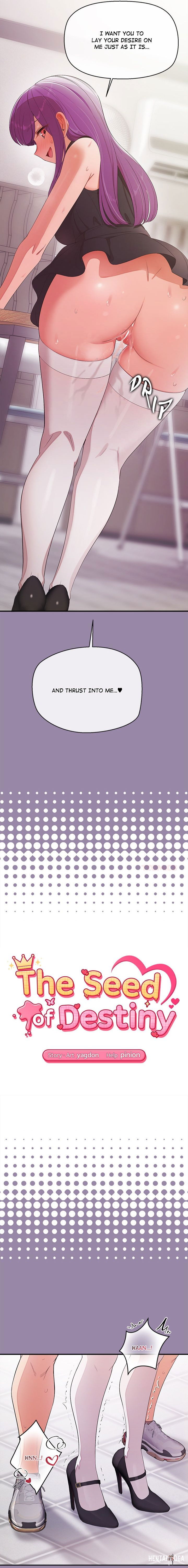 The Seed of Destiny The Seed of Destiny Chapter 23 - Página 2