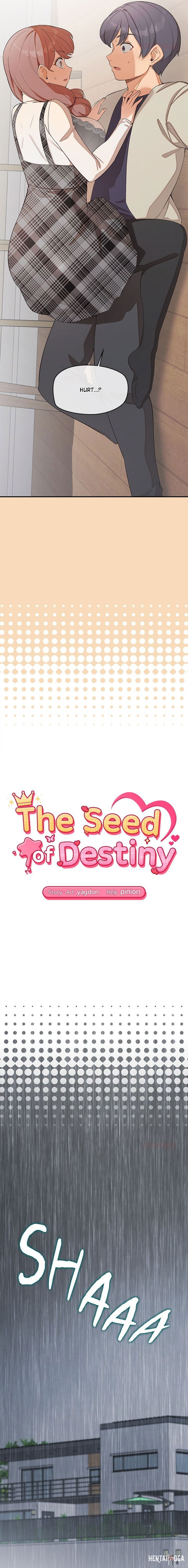 The Seed of Destiny The Seed of Destiny Chapter 26 - Página 2