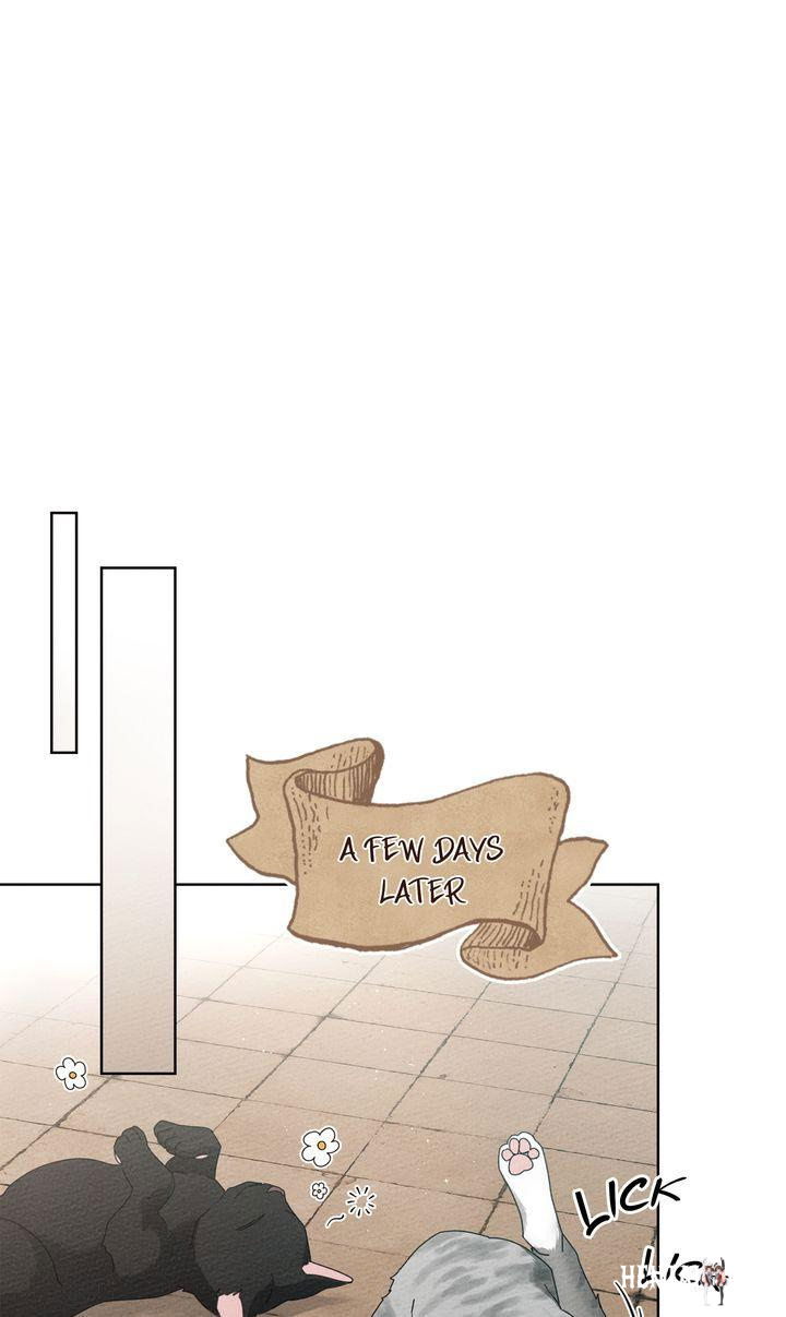 Under the Oak Tree Under the Oak Tree Chapter 74 - Page 45 Under the Oak Tree Under the Oak Tree Chapter 74 - Page 45