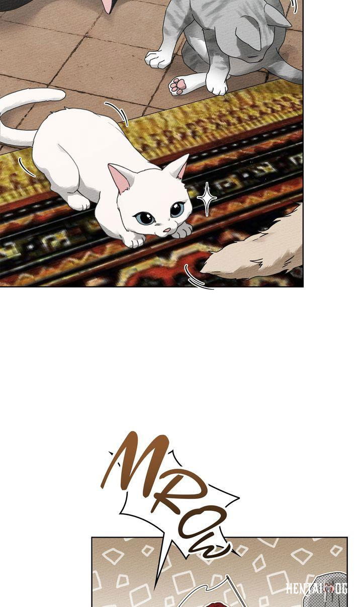 Under the Oak Tree Under the Oak Tree Chapter 74 - Page 46 Under the Oak Tree Under the Oak Tree Chapter 74 - Page 46