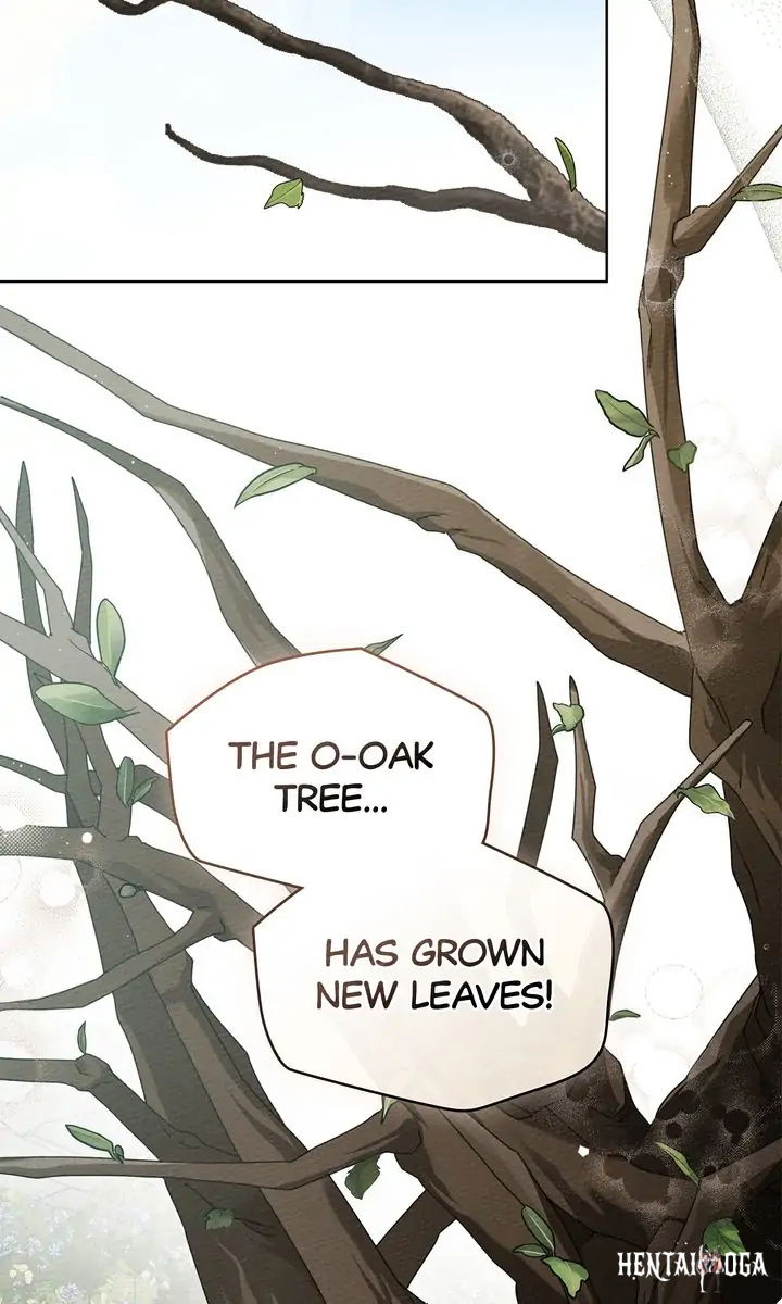 Under the Oak Tree Under the Oak Tree Chapter 78 - Page 36 Under the Oak Tree Under the Oak Tree Chapter 78 - Page 36