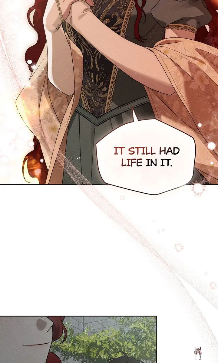 Under the Oak Tree Under the Oak Tree Chapter 78 - Page 41 Under the Oak Tree Under the Oak Tree Chapter 78 - Page 41