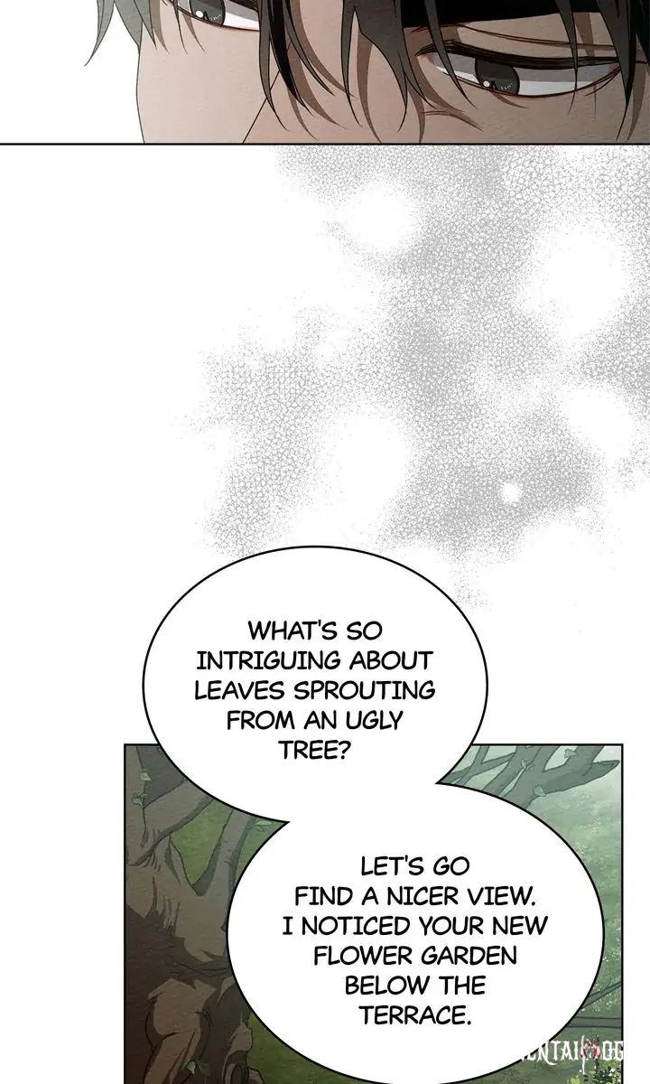 Under the Oak Tree Under the Oak Tree Chapter 78 - Page 43 Under the Oak Tree Under the Oak Tree Chapter 78 - Page 43