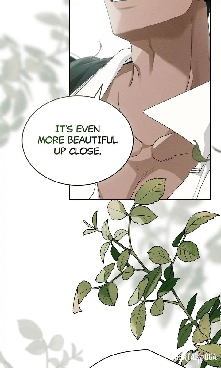 Under the Oak Tree Under the Oak Tree Chapter 78 - Page 48 Under the Oak Tree Under the Oak Tree Chapter 78 - Page 48