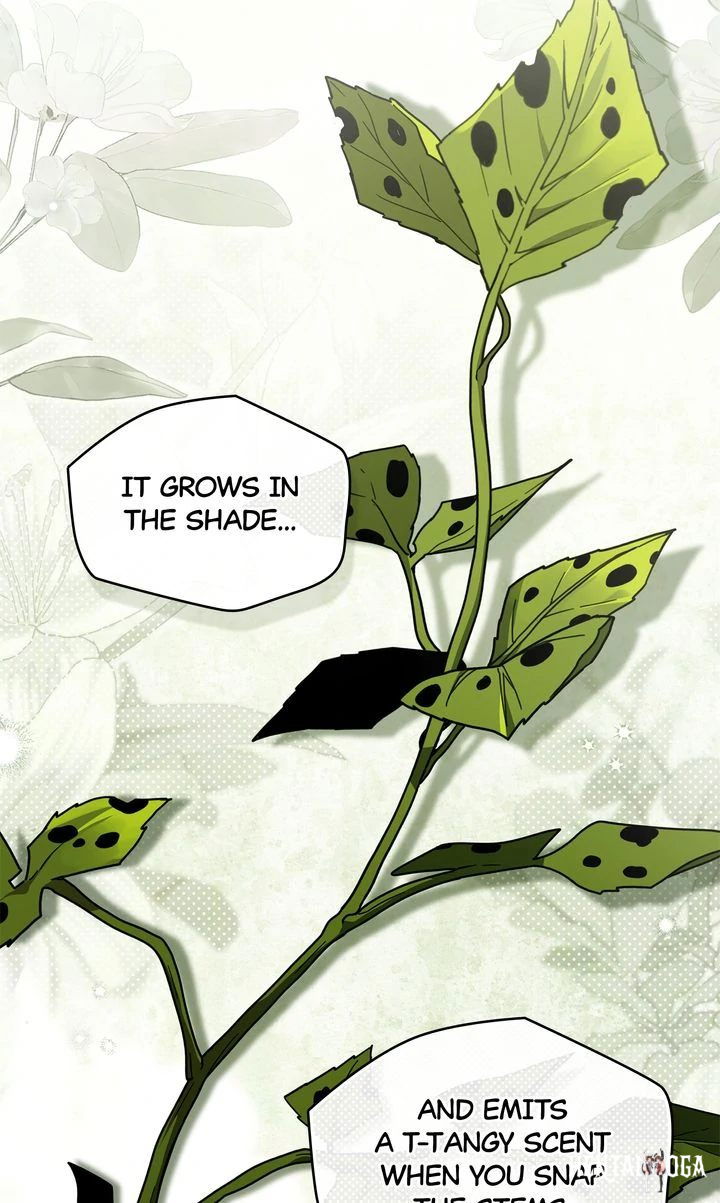 Under the Oak Tree Under the Oak Tree Chapter 117 - Page 7 Under the Oak Tree Under the Oak Tree Chapter 117 - Page 7