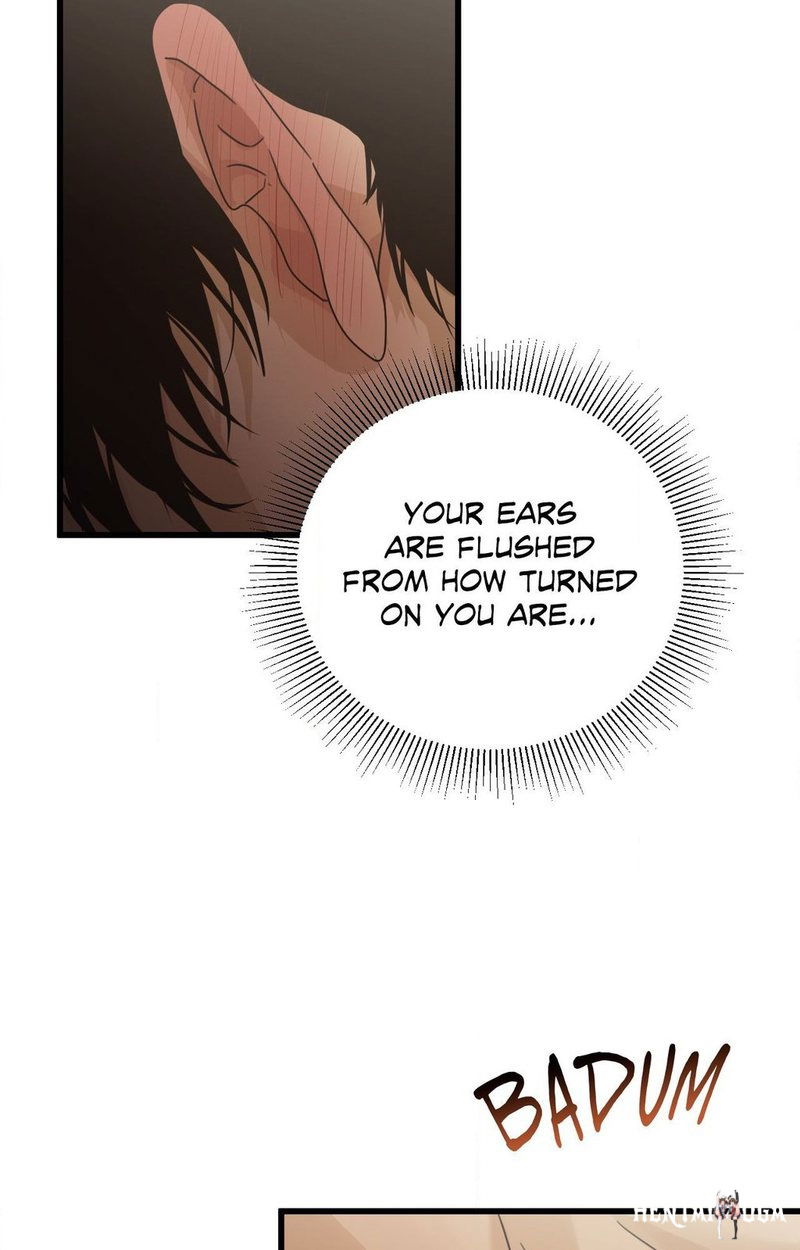 Where the Heart Is Where the Heart Is Chapter 58 - Page 49 Where the Heart Is Where the Heart Is Chapter 58 - Page 49