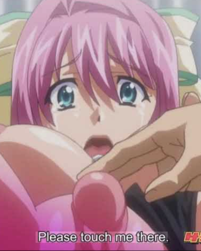 College Princess - Hentai Series